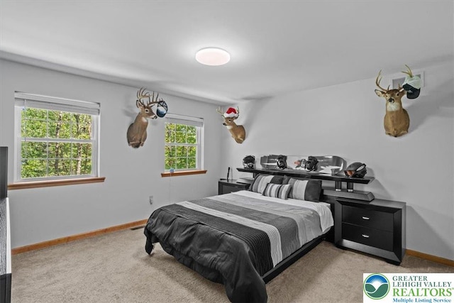 148 Squirrelwood Ct, Polk Twp, PA 18330 - photo 42