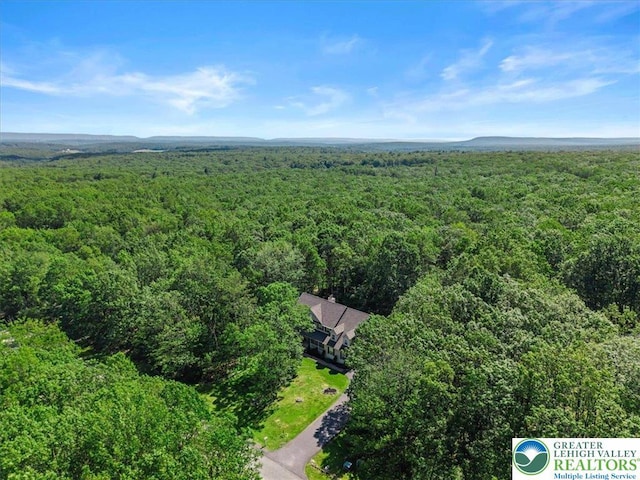 148 Squirrelwood Ct, Polk Twp, PA 18330 - photo 14