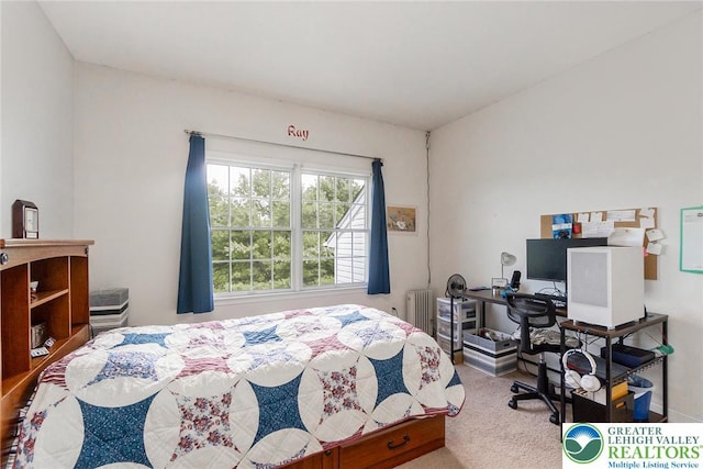 4178 Rexford Dr, Bethlehem Twp, PA 18020 - photo 45