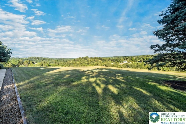 6909 Country Spring Rd, Lowhill Twp, PA 18066 - photo 4