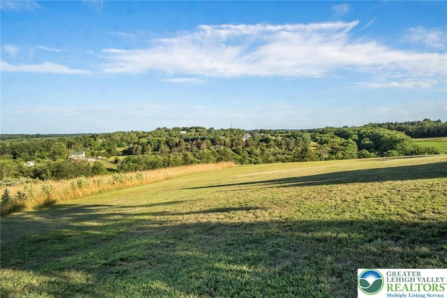 6909 Country Spring Rd, Lowhill Twp, PA 18066 - photo 5
