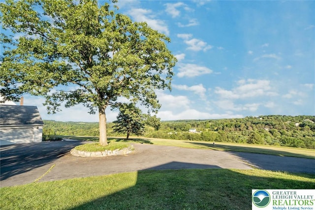 6909 Country Spring Rd, Lowhill Twp, PA 18066 - photo 10