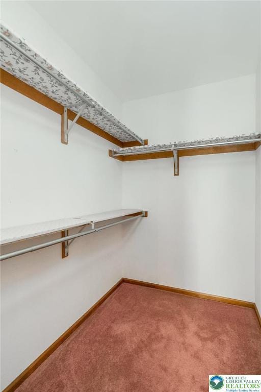 6909 Country Spring Rd, Lowhill Twp, PA 18066 - photo 70