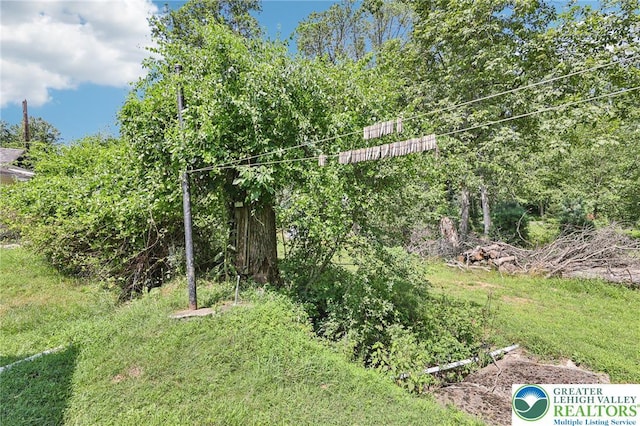311 Rutt Rd, Washington Twp, PA 18013 - photo 19