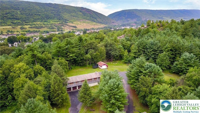 4145 Fireline Rd, Lower Towamensing Tp, PA 18071 - photo 42