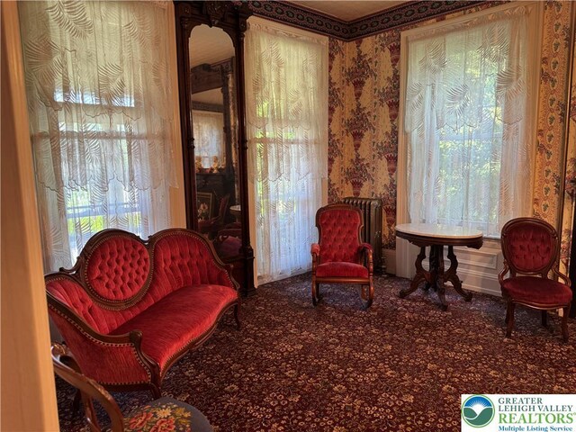 11 E Front St, Jim Thorpe Boro, PA 18229 - photo 5