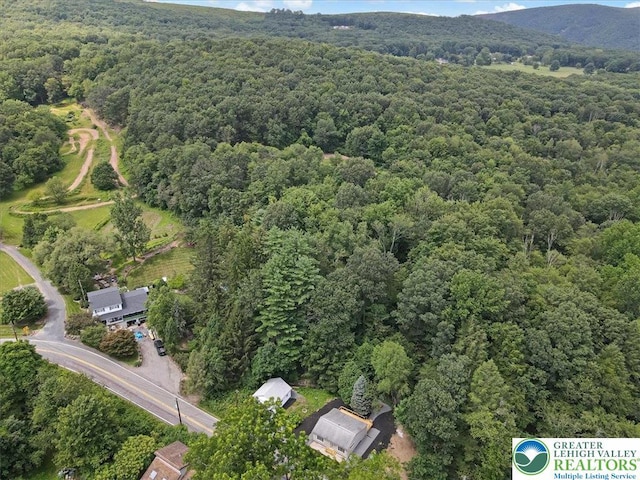 1126 Packerton Dam Dr, Mahoning Twp, PA 18235 - photo 61