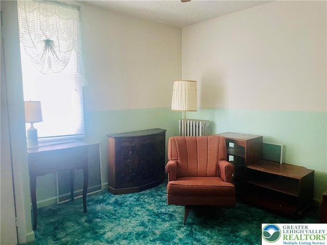 297 High St, Tamaqua Boro, PA 18252 - photo 13