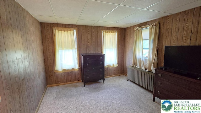 719 Locust St, North Catasauqua Bor, PA 18032 - photo 29