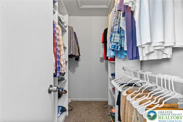 1670 Best Pl, Bethlehem City, PA 18017 - photo 26
