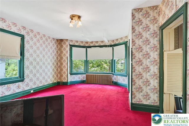 218 Center St, Jim Thorpe Boro, PA 18229 - photo 21