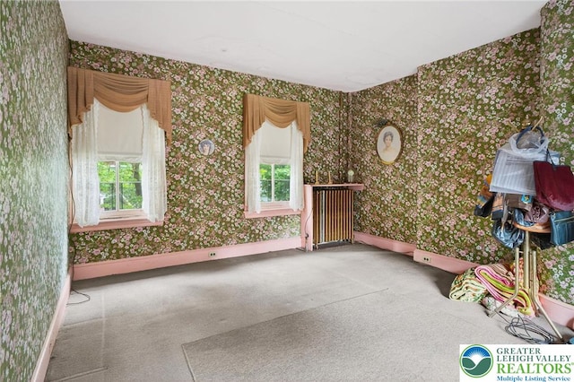 218 Center St, Jim Thorpe Boro, PA 18229 - photo 26