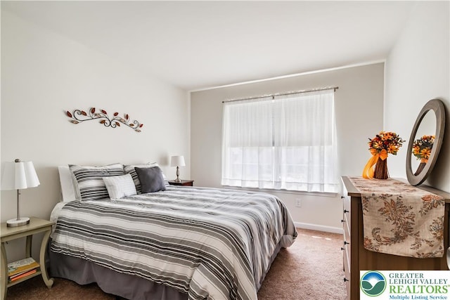 1091 Swallow Tail Ln, Upper Macungie Twp, PA 18031 - photo 28