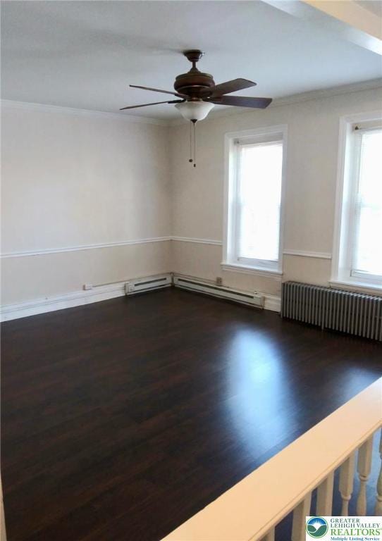 443 N 7th St, Allentown City, PA 18102 - photo 9