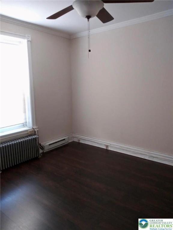 443 N 7th St, Allentown City, PA 18102 - photo 15