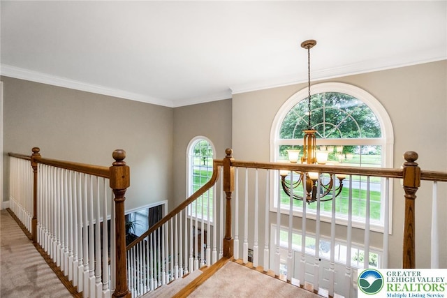 60 Melchor Dr, Williams Twp, PA 18042 - photo 46