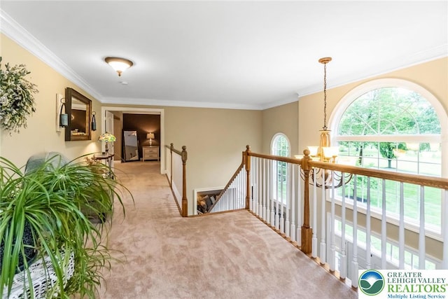 60 Melchor Dr, Williams Twp, PA 18042 - photo 59