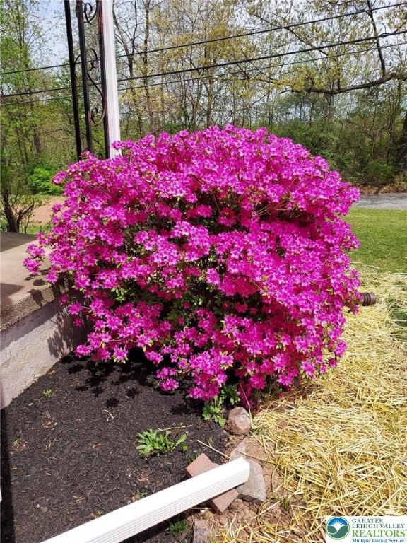 7180 Leh St, Lower Milford Twp, PA 18036 - photo 23