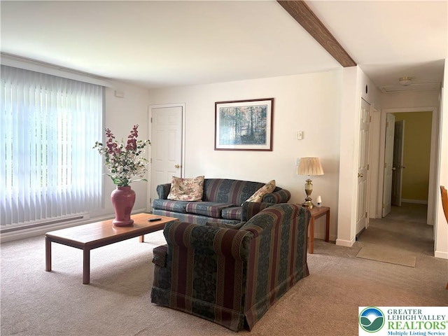 84 N Sycamore Dr, Penn Forest Twp, PA 18229 - photo 3