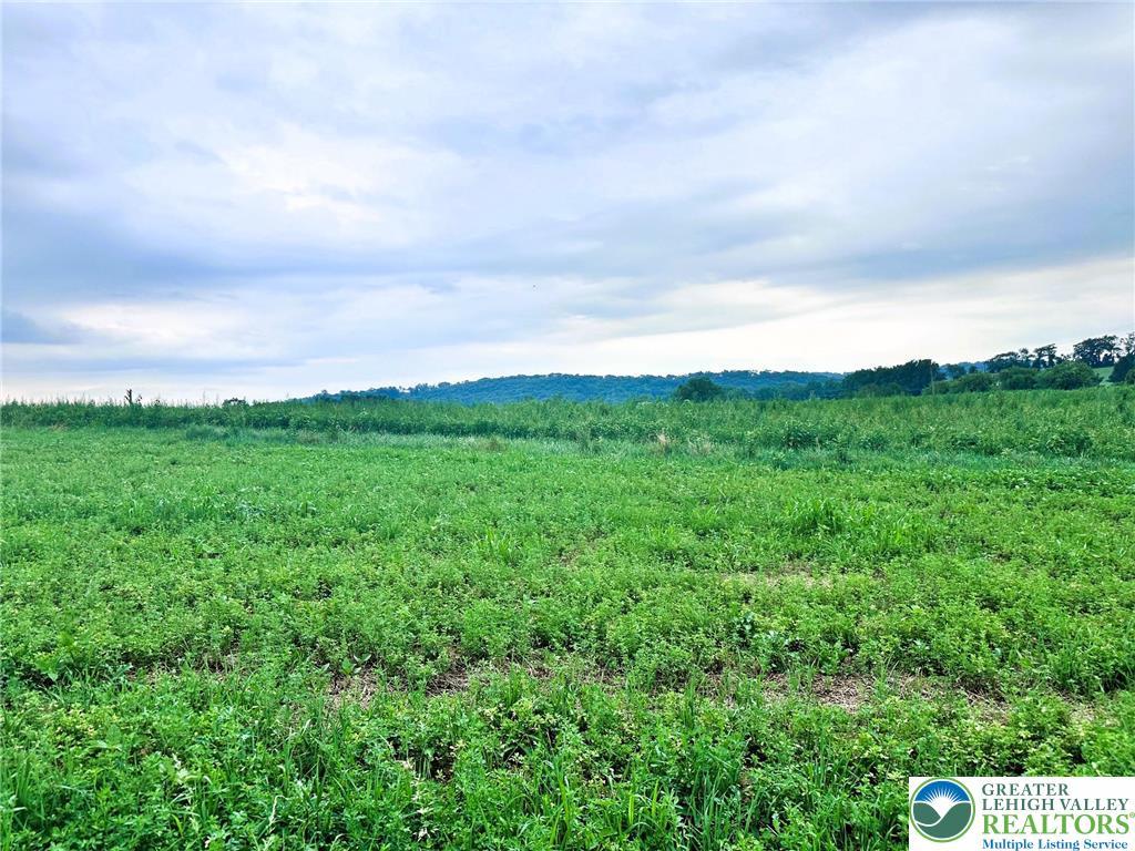 66 Long Rd, Greenwich Twp, PA 19534 - photo 1