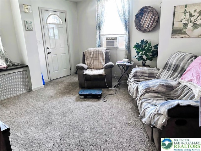 33 Front St, Catasauqua Boro, PA 18032 - photo 12