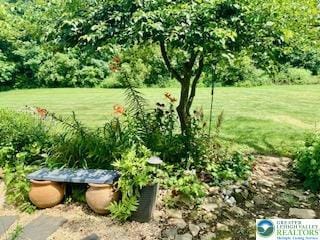 6672 Pioneer Dr, Lower Macungie Twp, PA 18062 - photo 20