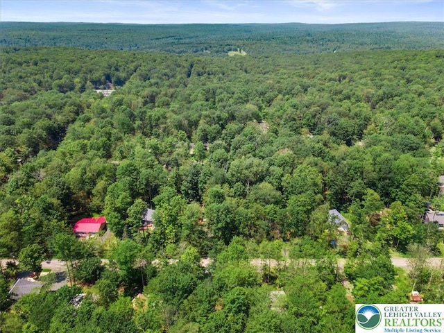 192 Wyalusing Dr, Coolbaugh Twp, PA 18347 - photo 11
