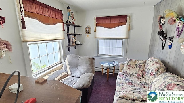 3150 Birch Cir, Whitehall Twp, PA 18052 - photo 17