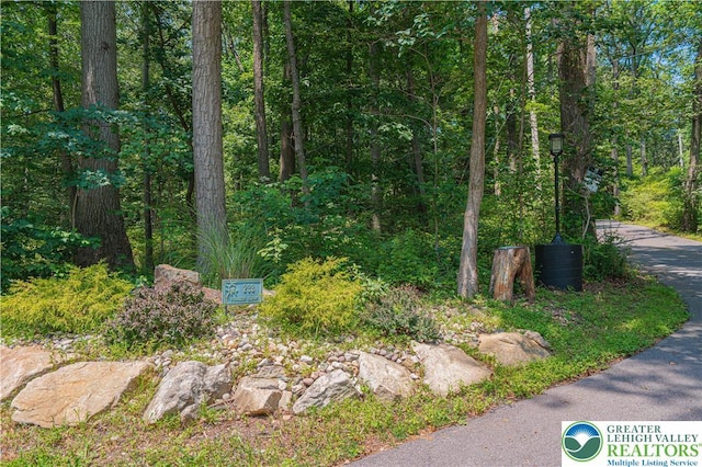 233 Fiddlers Elbow Rd, Phillipsburg, NJ 08865 - photo 74