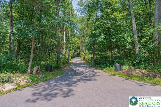 233 Fiddlers Elbow Rd, Phillipsburg, NJ 08865 - photo 75