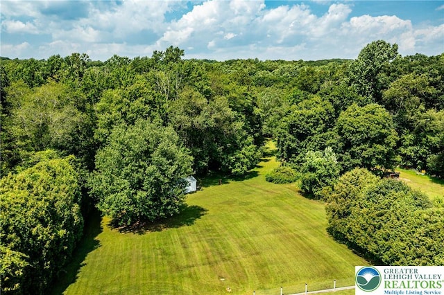 867 Huffs Church Rd, District Twp, PA 18011 - photo 40