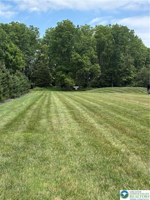 9835 Hilltop Dr, Lower Mt Bethel Twp, PA 18013 - photo 1