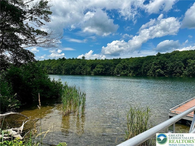 100 Hidden Ln, Towamensing Twp, PA 18235 - photo 41