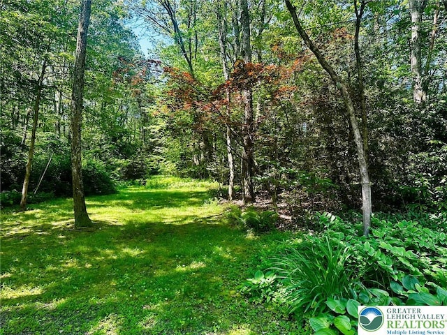 100 Hidden Ln, Towamensing Twp, PA 18235 - photo 35