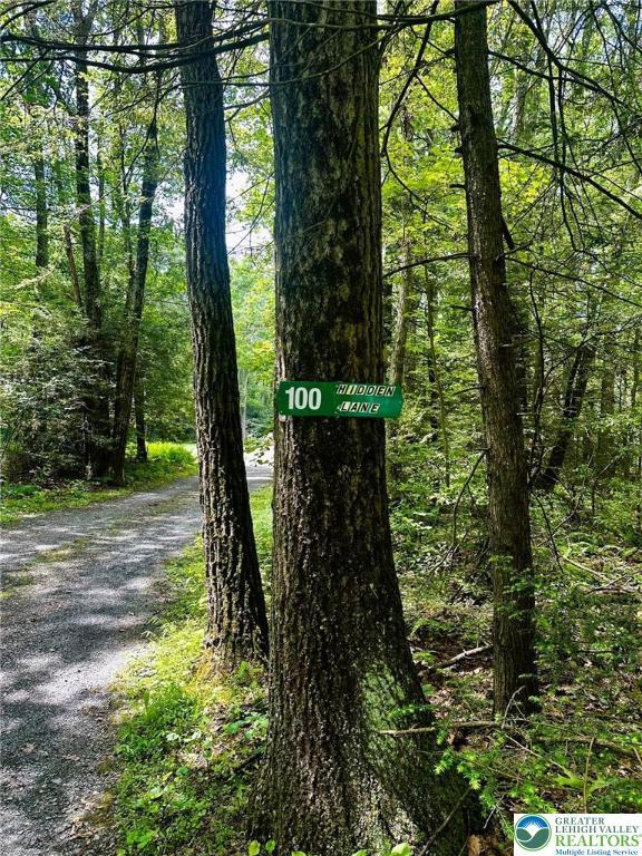 100 Hidden Ln, Towamensing Twp, PA 18235 - photo 4