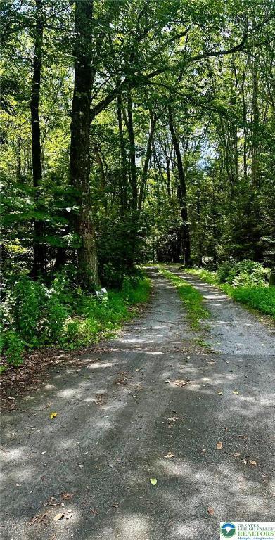 100 Hidden Ln, Towamensing Twp, PA 18235 - photo 28