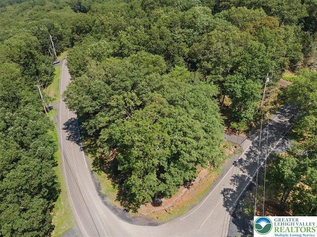 272 Stafford Dr, Lehman Twp, PA 18324 - photo 9