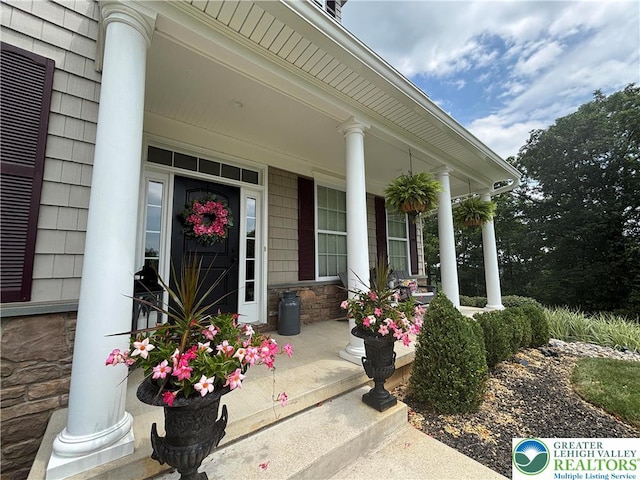 9815 Hilltop Dr, Lower Mt Bethel Twp, PA 18013 - photo 10