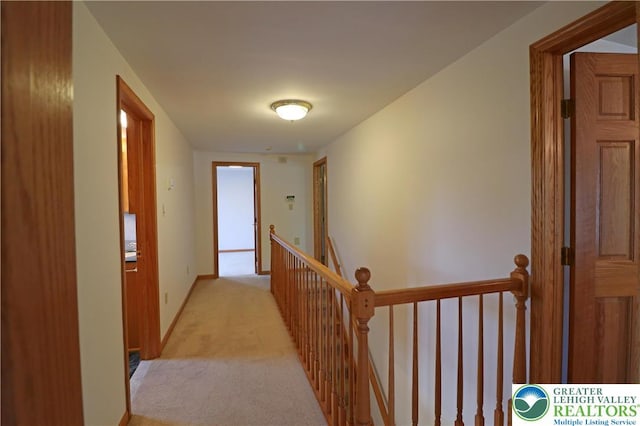 3771 Baldwin Dr, Easton, PA 18045 - photo 38