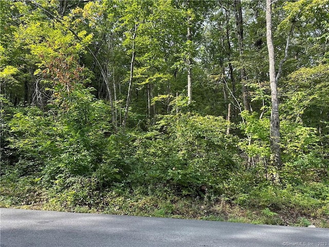 00 Sackett Hill Rd, Warren CT, 06754 land for sale