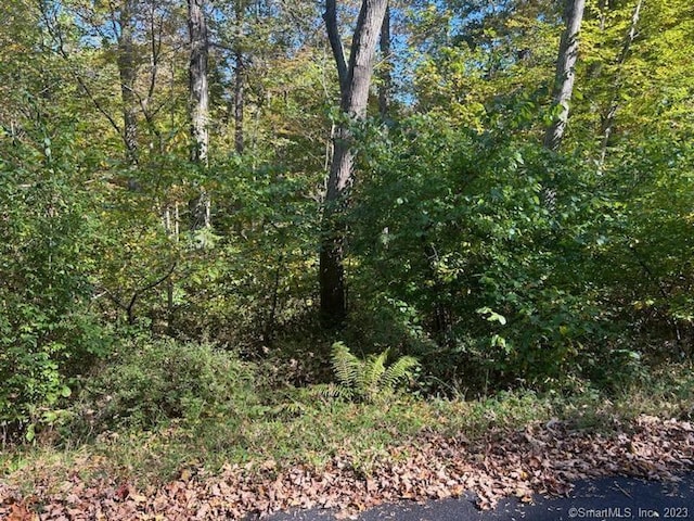 35 Saw Mill Rd, Newtown CT, 06470 land for sale