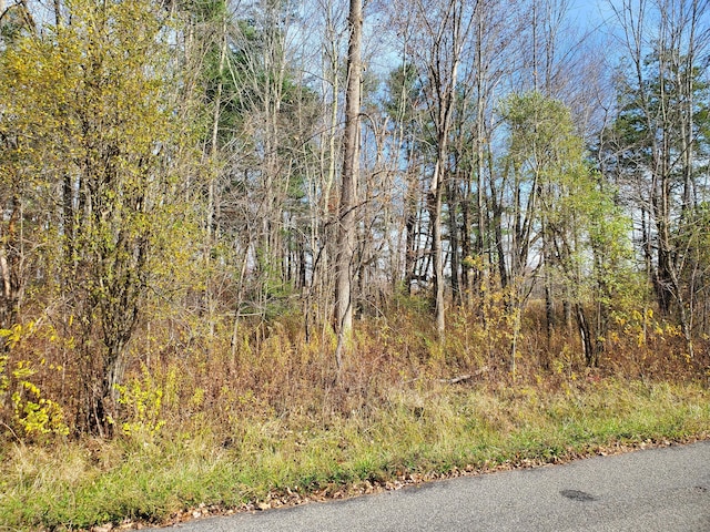 Brynmoor Court Wl Lot #556, Goshen, CT 06756