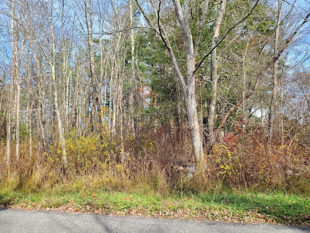 Brynmoor Court Wl Lot #556, Goshen, CT 06756