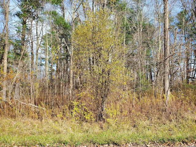 Brynmoor Court Wl Lot #556, Goshen, CT 06756