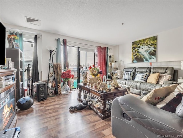 living room with a textured ceiling and wood-type flooring