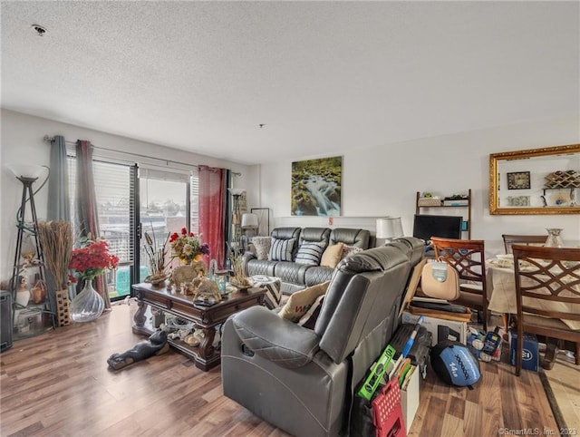 living room featuring hardwood / wood-style flooring and a textured ceiling