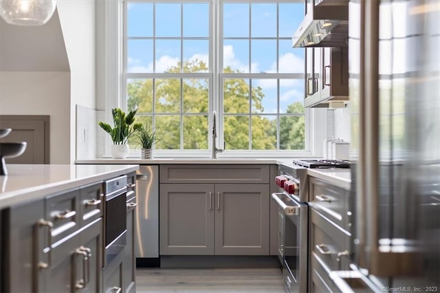 kitchen featuring gray cabinetry, stainless steel appliances, sink, hardwood / wood-style floors, and range hood