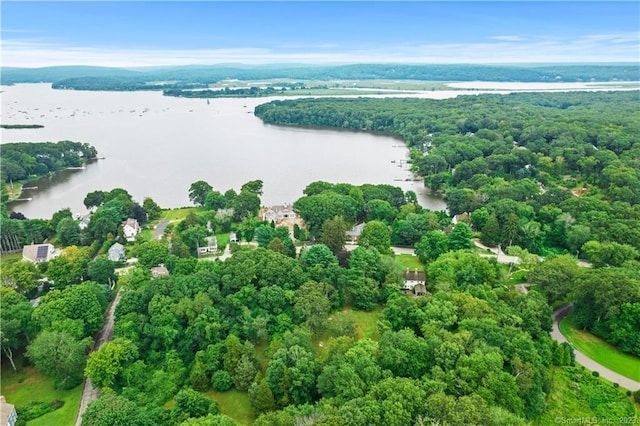 drone / aerial view with a water view and a wooded view