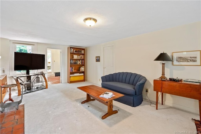 view of carpeted living area