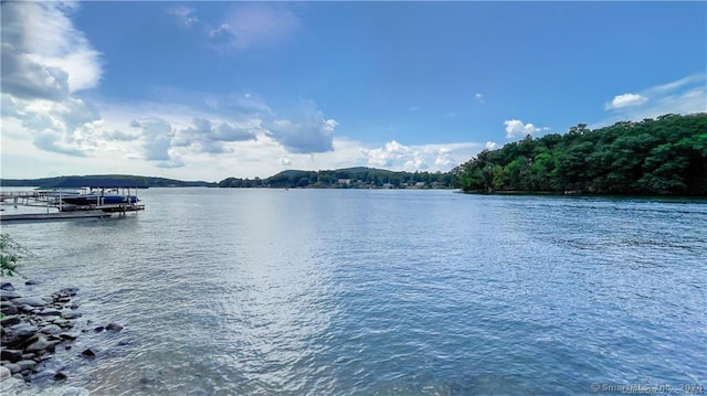 70 S Lake Shore Dr, Brookfield, CT 06804